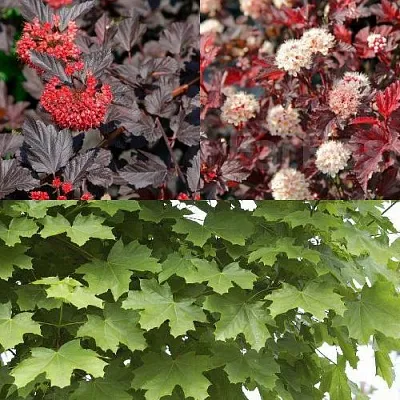 Комплект ОСЕННИЙ КОСТЕР в Королеве