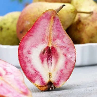 Груша БЛЮТБЕРН  Груша БЛЮТБЕРН в Королеве