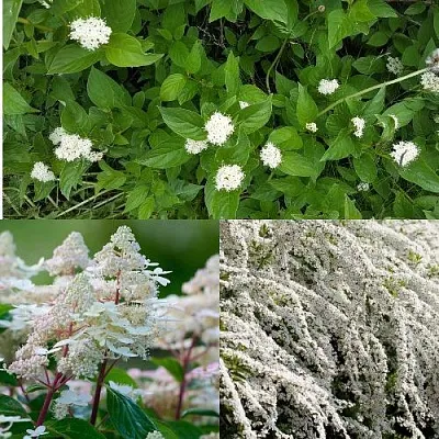 Комплект СКАНДИНАВСКИЙ СТИЛЬ в Королеве