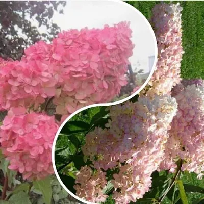 Комплект МНОГОГРАННОСТЬ в Королеве