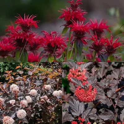 Комплект ОГНЕННЫЙ МИКС в Королеве