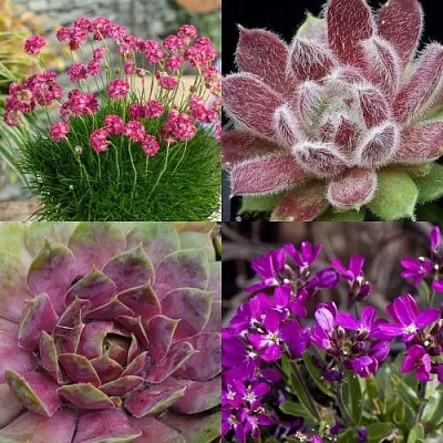 Комплект МИНИ САД в Королеве