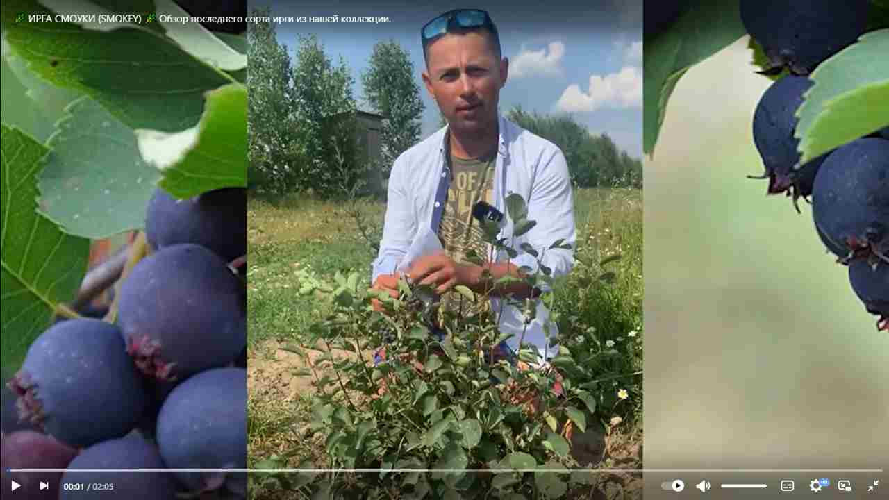 Превью видео